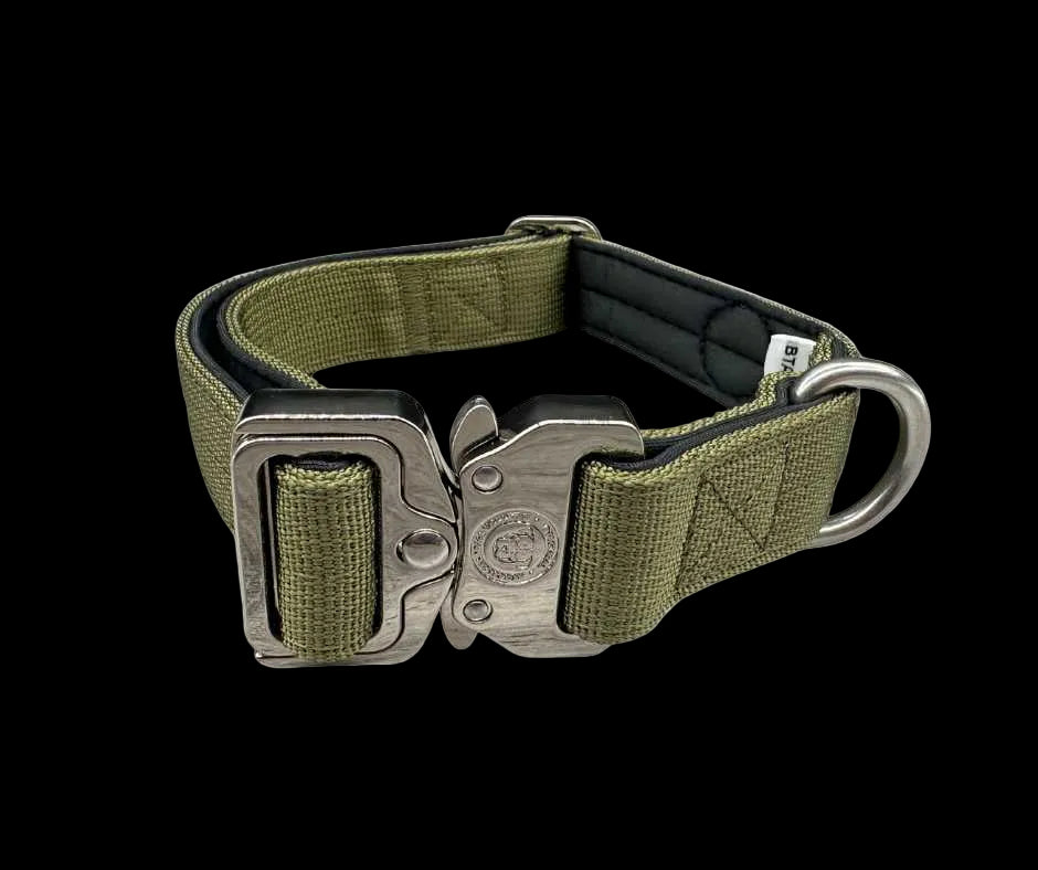 2.5cm Tactical Collar Green