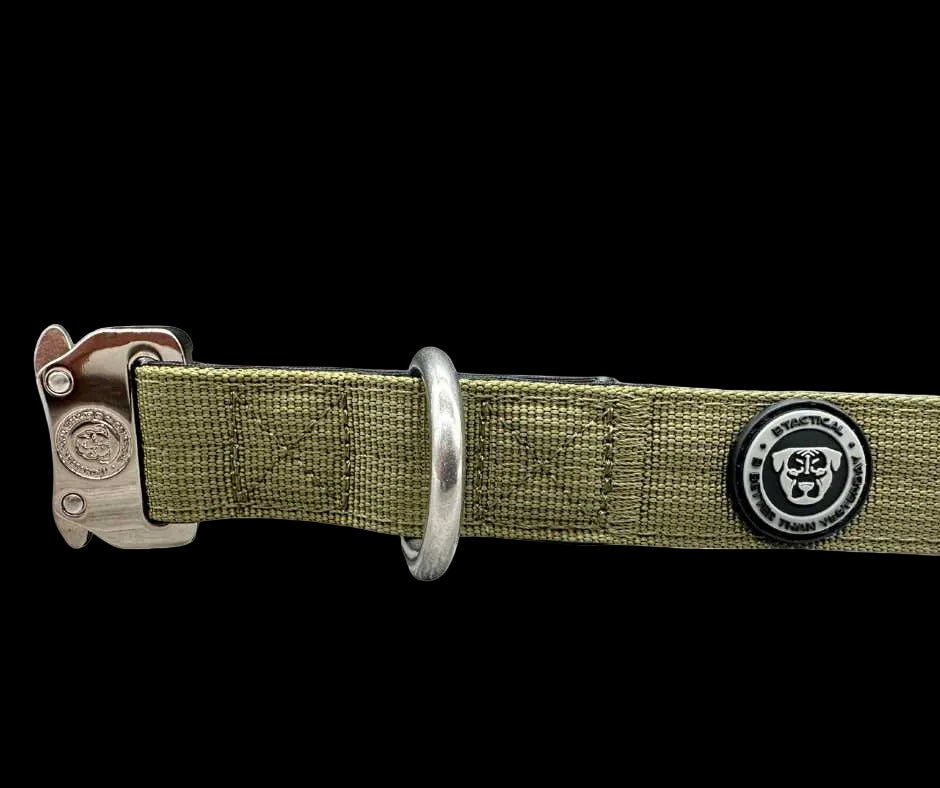 2.5cm Tactical Collar Green