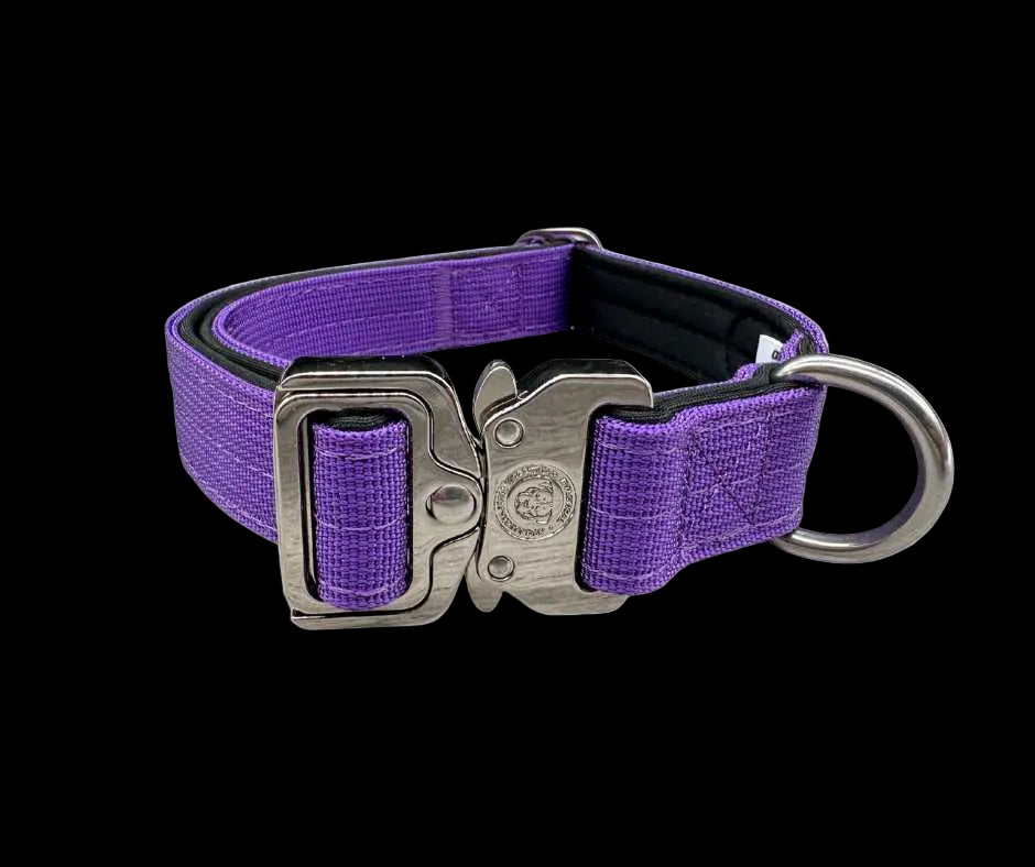 2.5cm Tactical Collar Purple