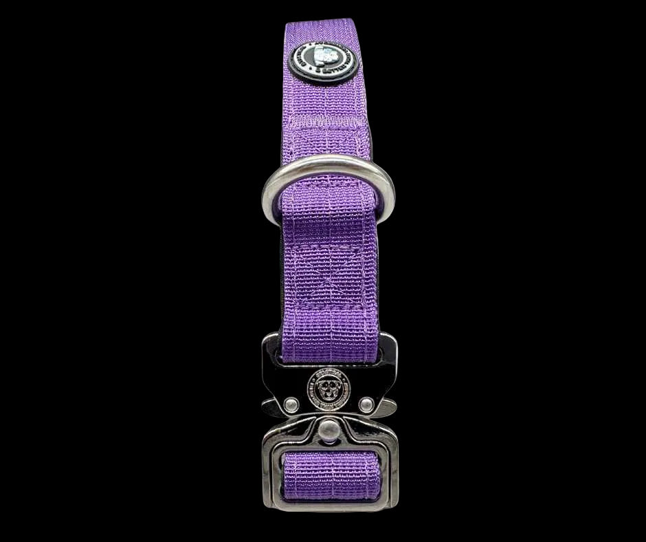 2.5cm Tactical Collar Purple
