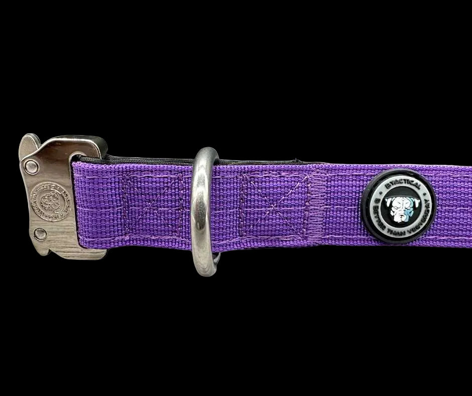 2.5cm Tactical Collar Purple
