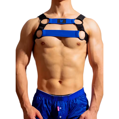 Dog & Master Cross Harness Blue