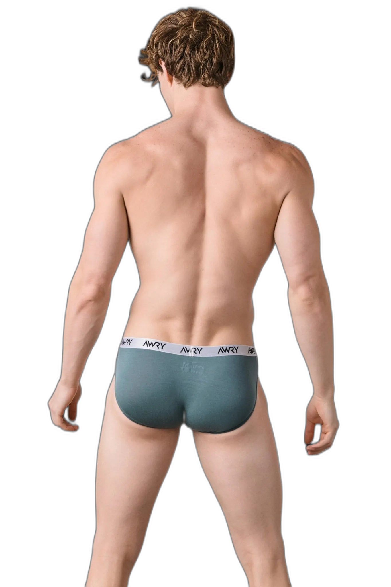 3 Pack SIGNATURE Slip Briefs