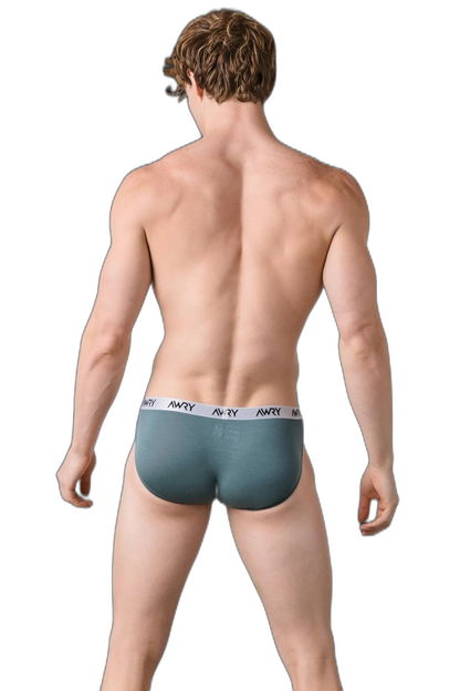 3 Pack SIGNATURE Slip Briefs