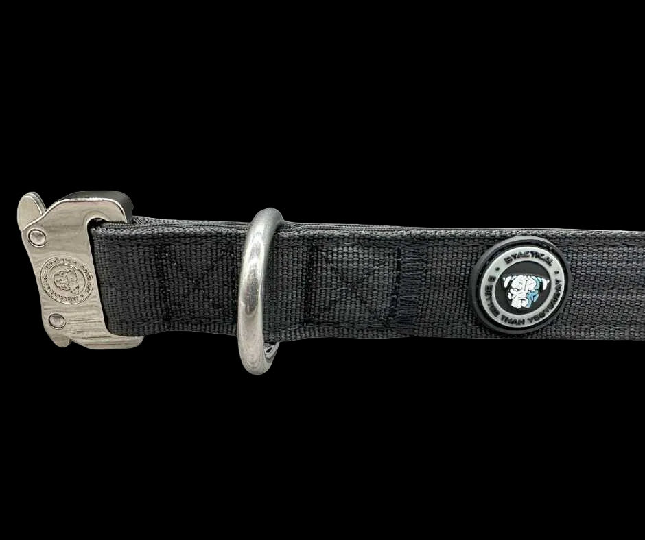2.5cm Tactical Collar Black