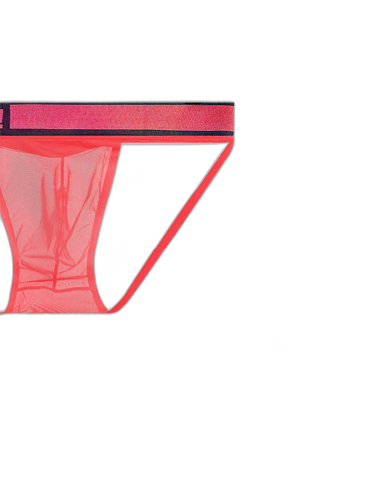 2 Pack Men's Large Pouch Semi-Transparent Sexy Bikini