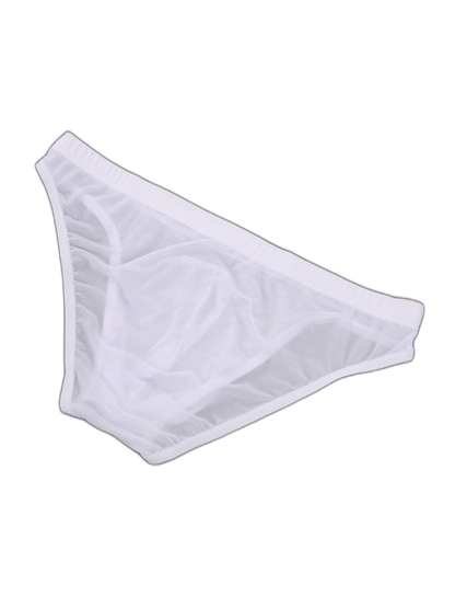 2 Pack Men's Seductive Mesh Sheer Briefs