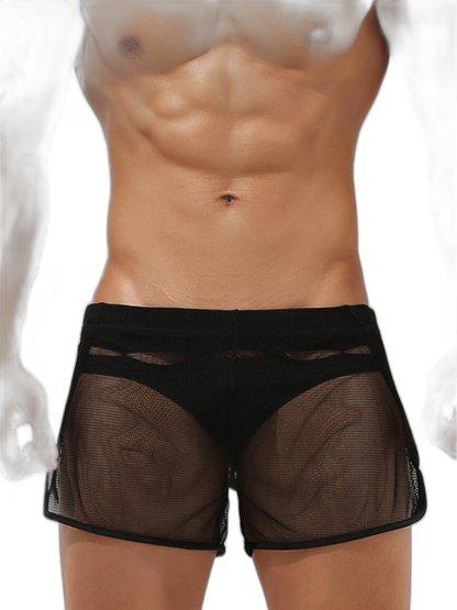Men’s Sexy See Through Mesh Boxer Shorts