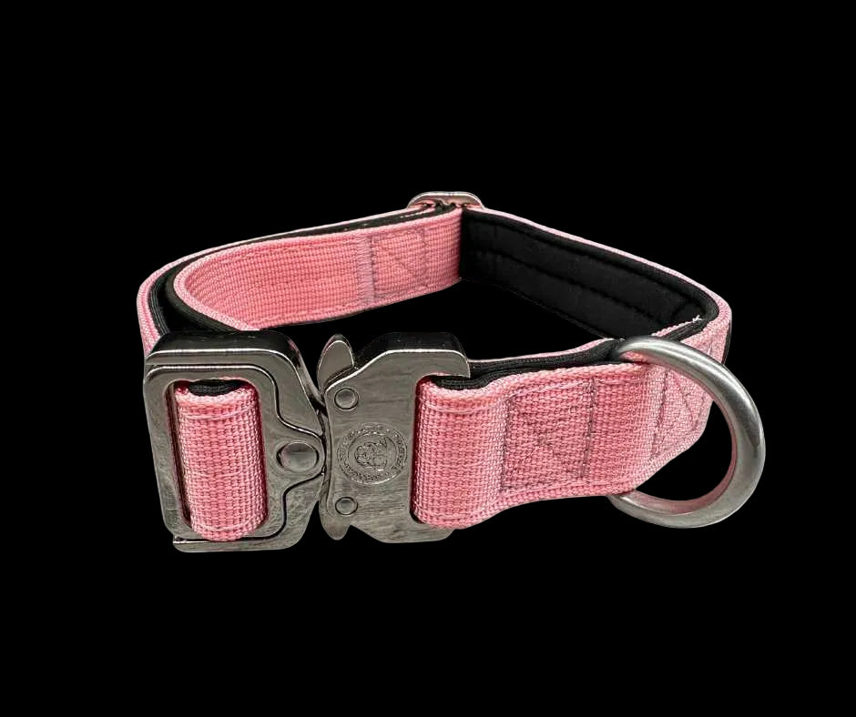 2.5cm Tactical Collar Pink