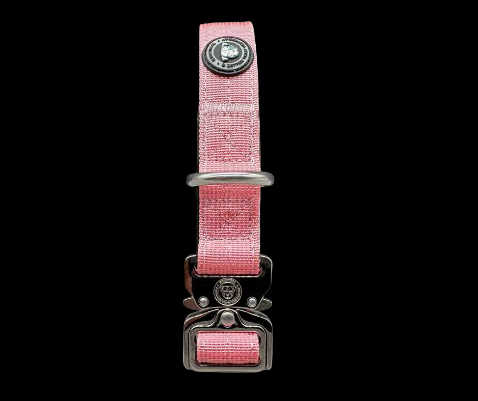 2.5cm Tactical Collar Pink