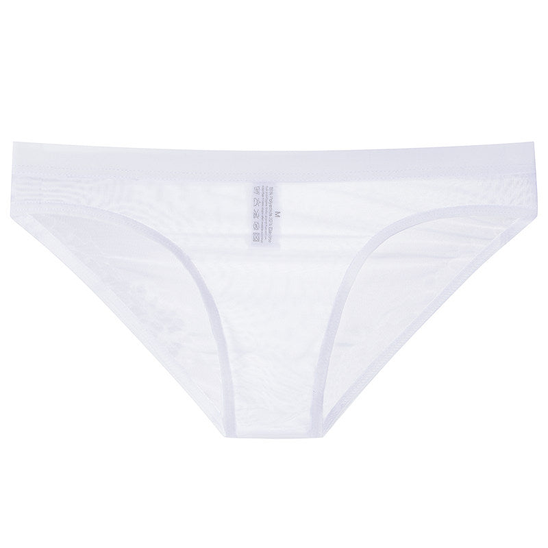 Sheer Mesh Bagless Skinny Briefs
