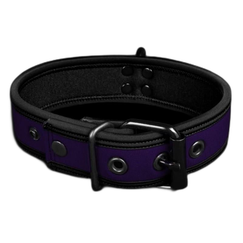 Mr S Leather NEO Puppy Collar Purple