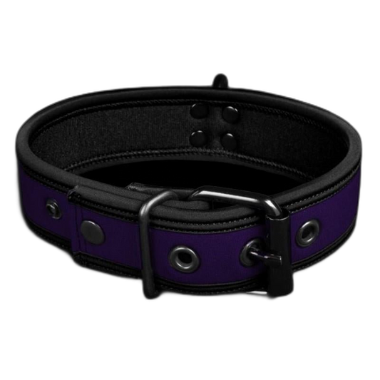 Mr S Leather NEO Puppy Collar Purple