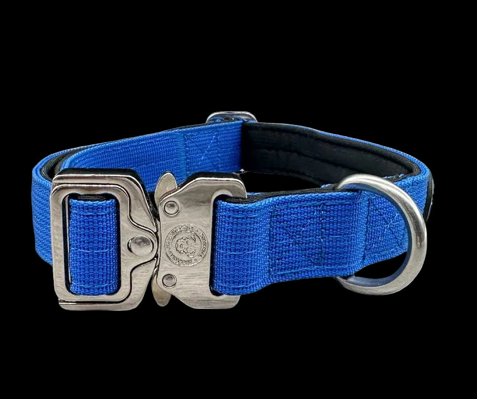2.5cm Tactical Collar Blue