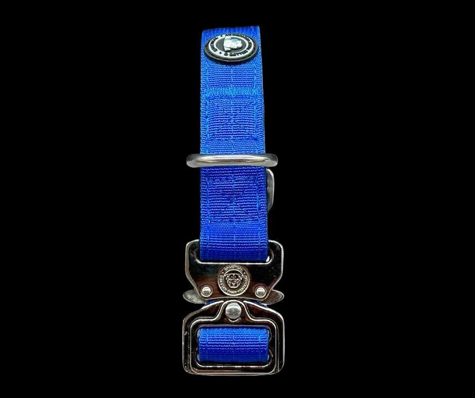 2.5cm Tactical Collar Blue