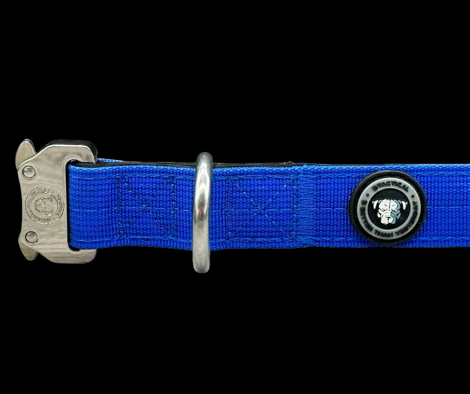 2.5cm Tactical Collar Blue