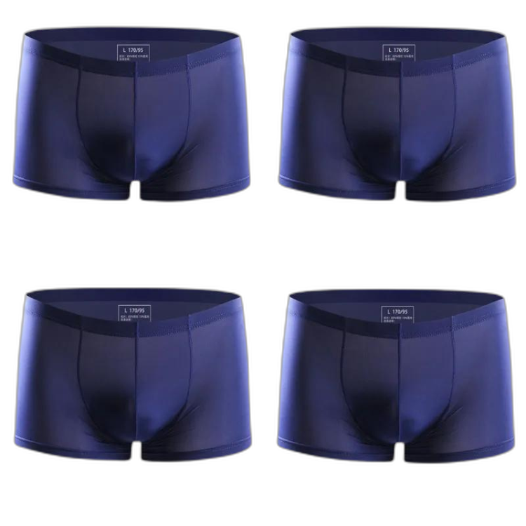 Ice Embrace Transparent Boxer Briefs (4 Pack)