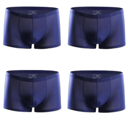 Ice Embrace Transparent Boxer Briefs (4 Pack)