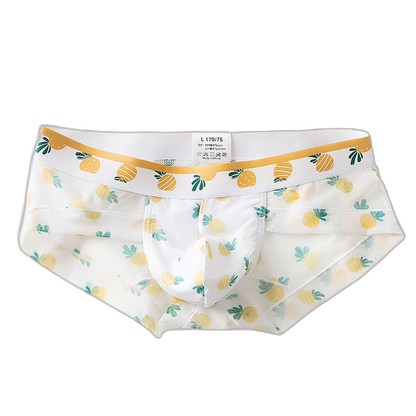 4 Pack Men’s Flower Print Pouch Briefs