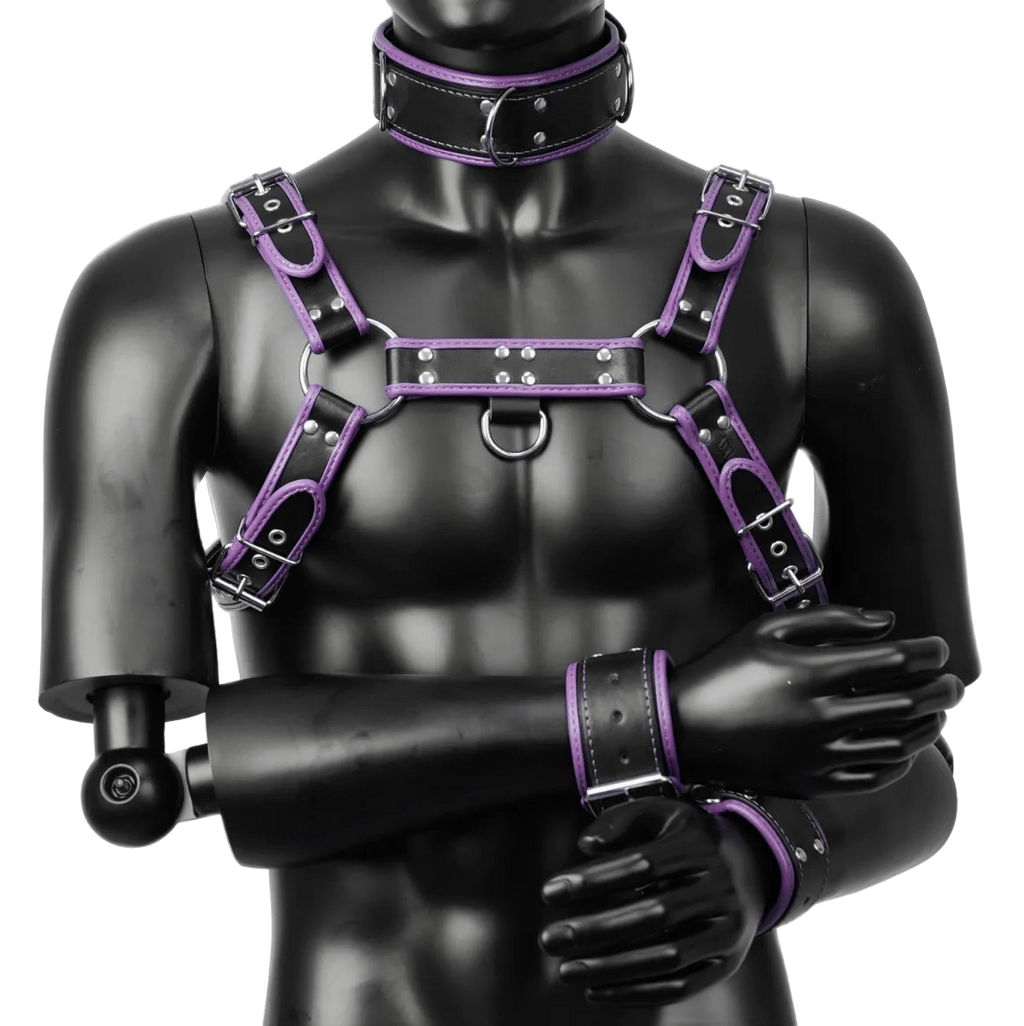 Harness, Cuff, Collar Bundle Purple