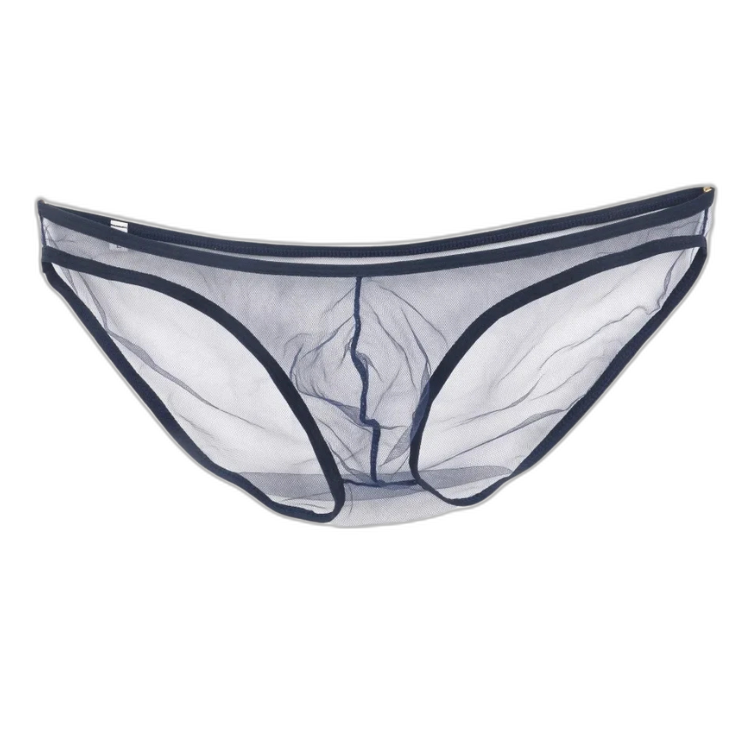 Caught In The Act Men's Mesh Briefs