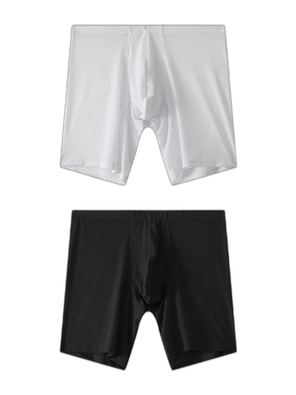 2 Pack Men's Mesh Transparent Sports Fitness Loose Boxer Briefs