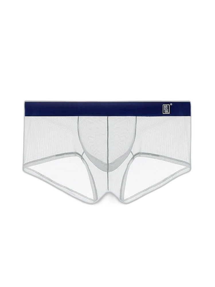 Men's Ultra-thin Low-Rise See-Through Ice Silk Briefs