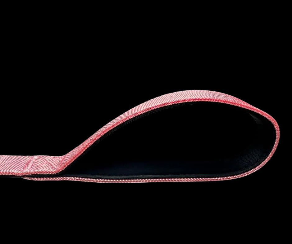 Tactical Carabiner Clip Lead Pink