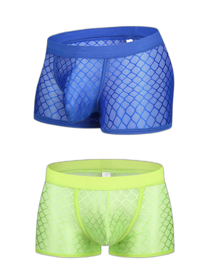 2 Pack Men's Sexy Transparent Mesh Trunks