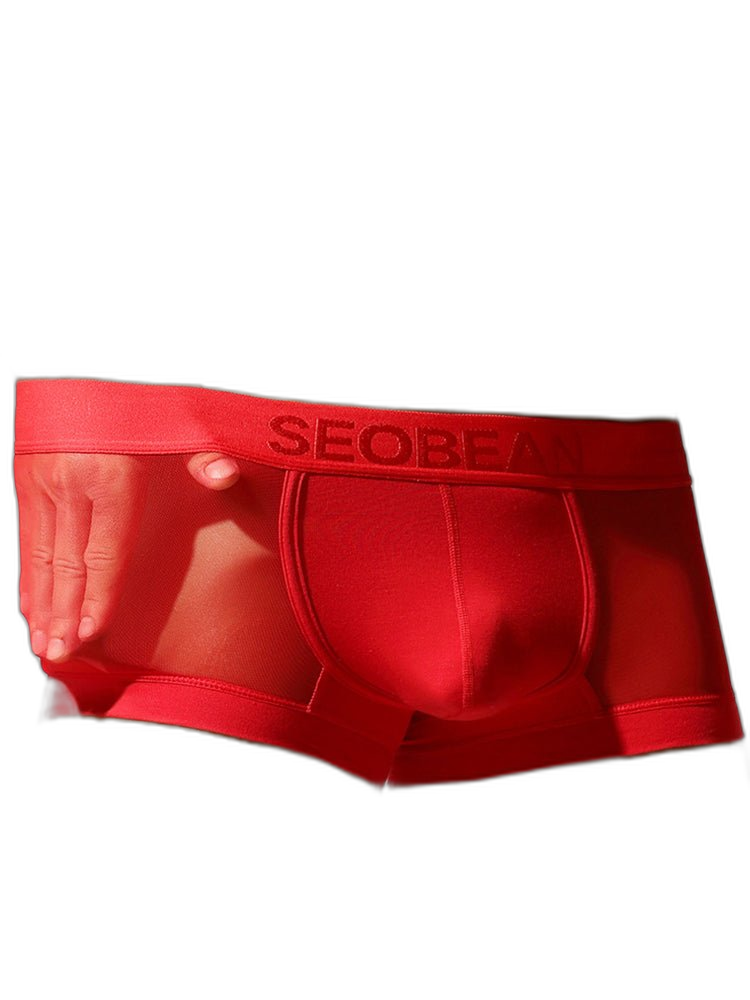 2 Pack Men's Stay-Put Fit Lightweight & Airy Solid Color Semi-Transparent Trunks