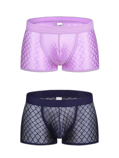 2 Pack Men's Sexy Transparent Mesh Trunks