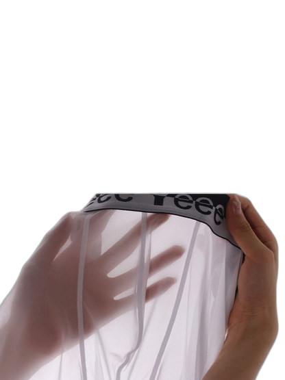 Men's Ice Silk Hip Hollow Mesh Boxer Briefs