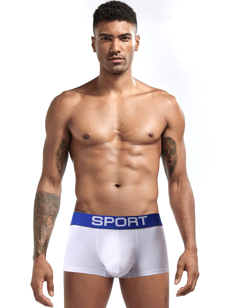 3 Pack Mens Sculpt Bulge Shape Support Pouch Underwear