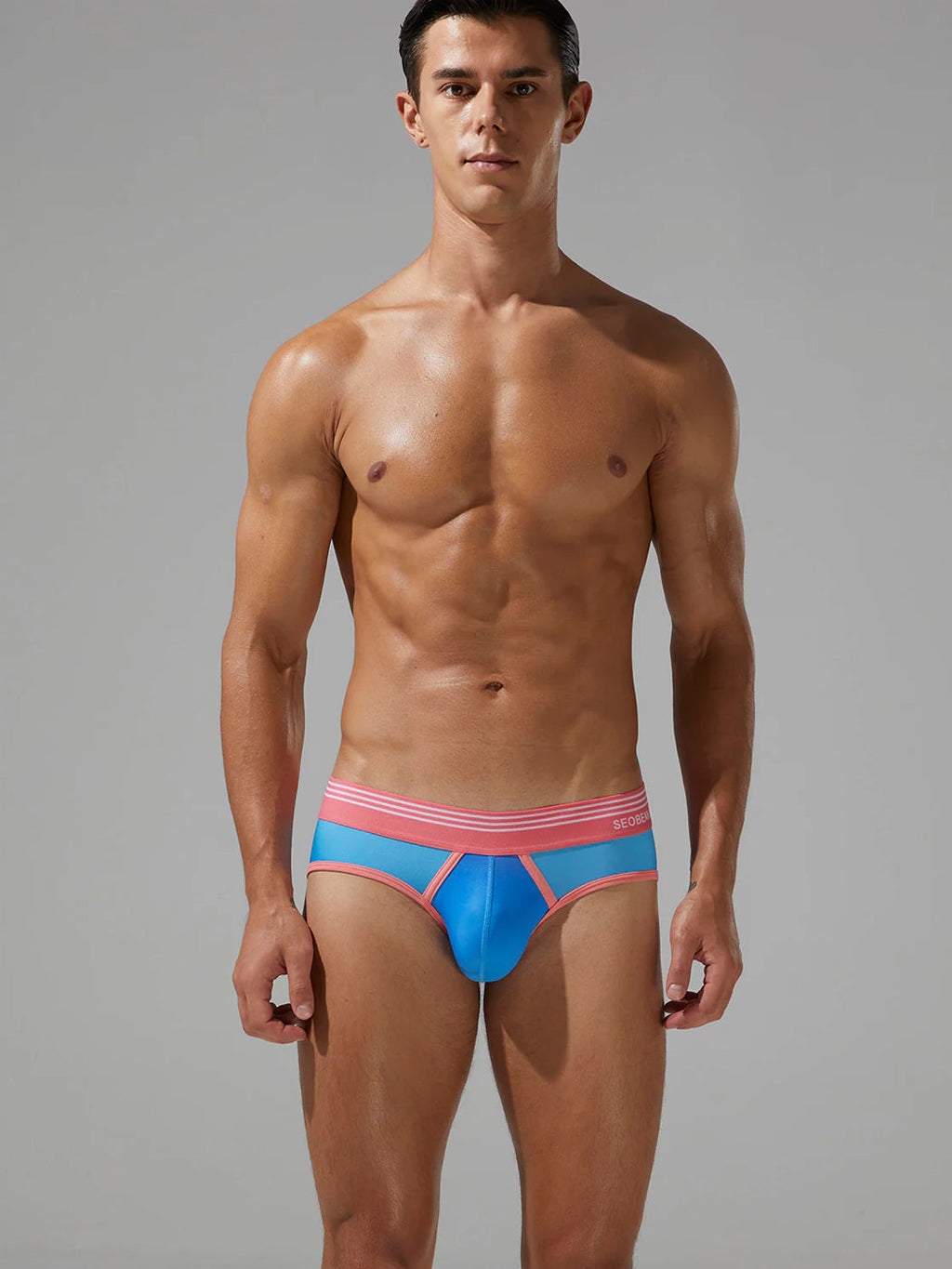 Men’s Spliced Lines Briefs in Ombre