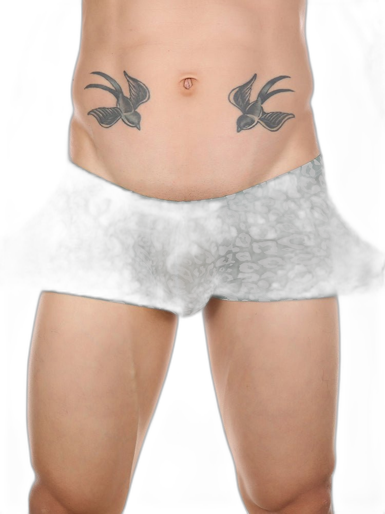 4 Pack Leopard Print See-through Mesh Trunks