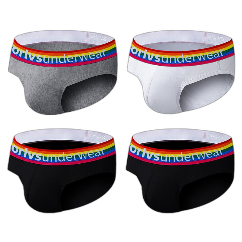 ORLVS Pride Briefs (4 Pack)