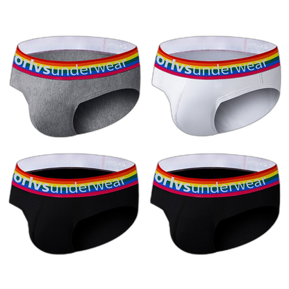 ORLVS Pride Briefs (4 Pack)