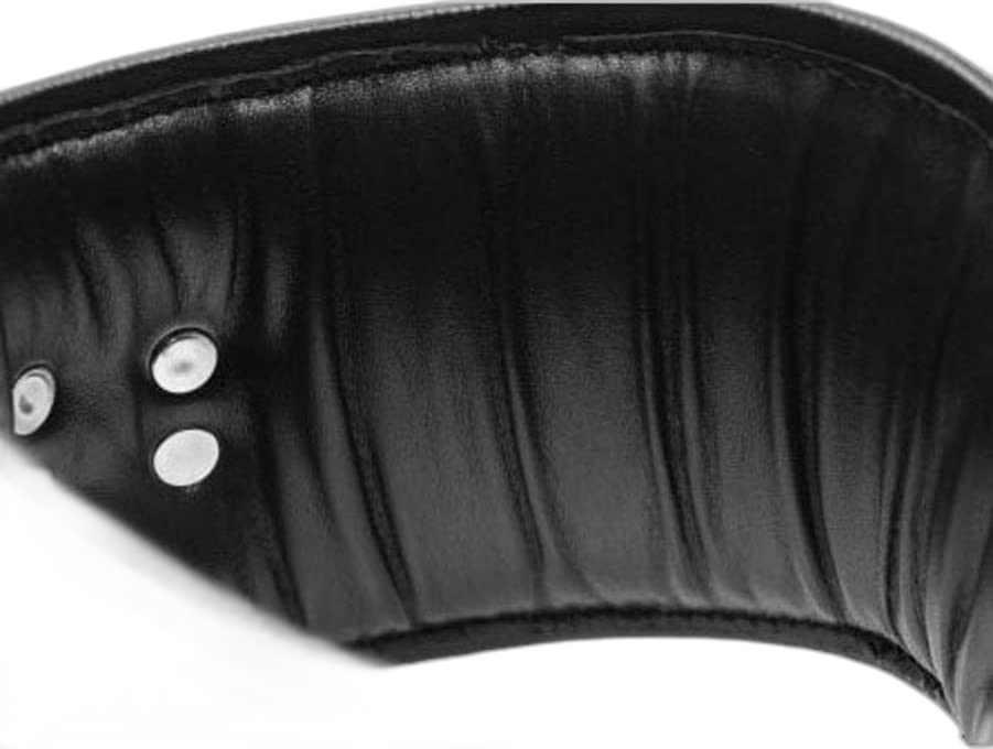 ruff GEAR Hardcore Leather Posture Collar
