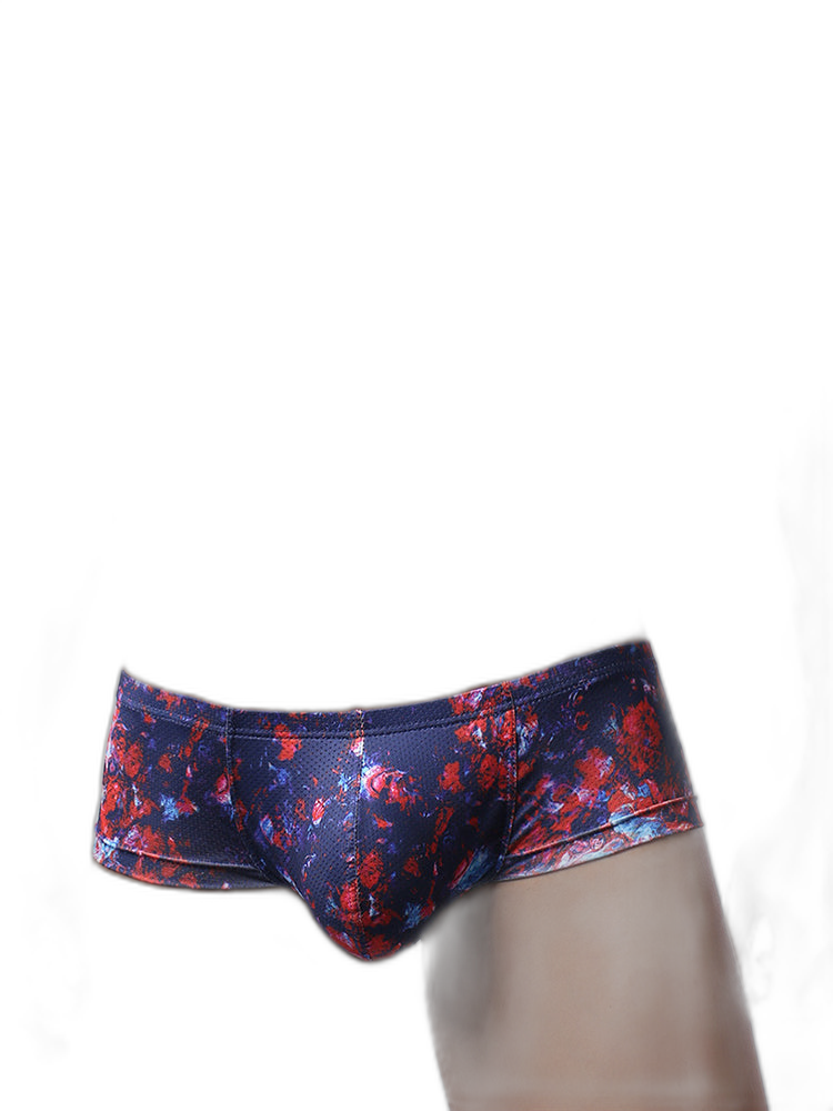 Men's Sexy Botanical Printed Mesh Underwear
