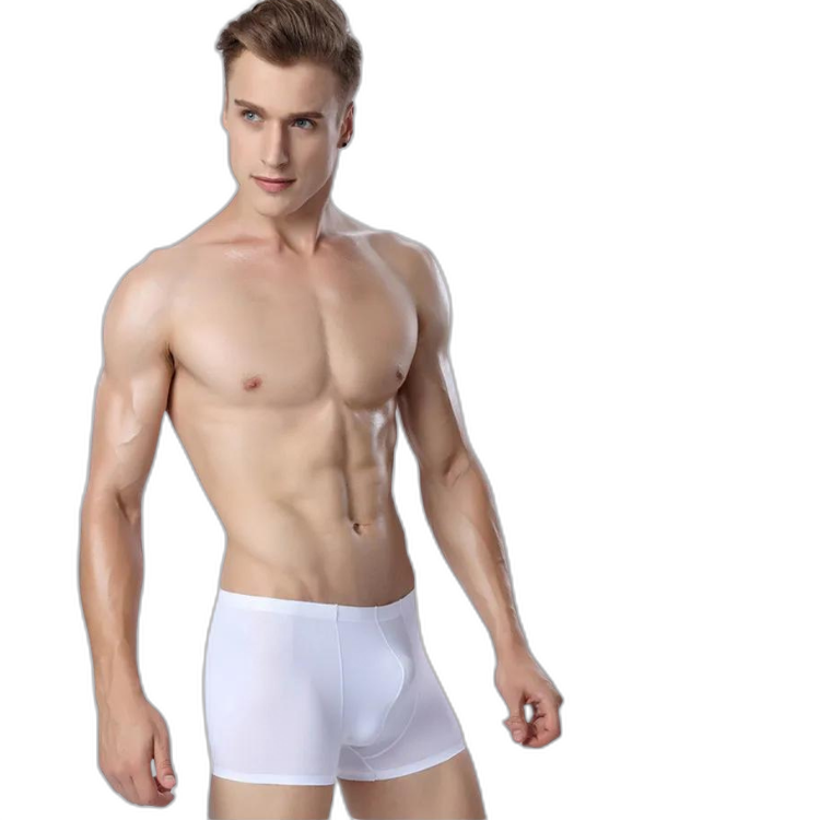 Ice Embrace Transparent Boxer Briefs (4 Pack)