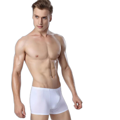Ice Embrace Transparent Boxer Briefs (4 Pack)