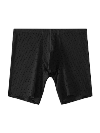 2 Pack Men's Mesh Transparent Sports Fitness Loose Boxer Briefs