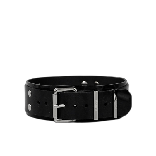 Buckle Style Silicone Collar