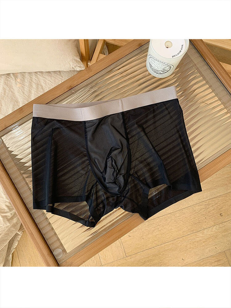 Men's Ultra-Thin Sheer Ice Silk Boxer Briefs