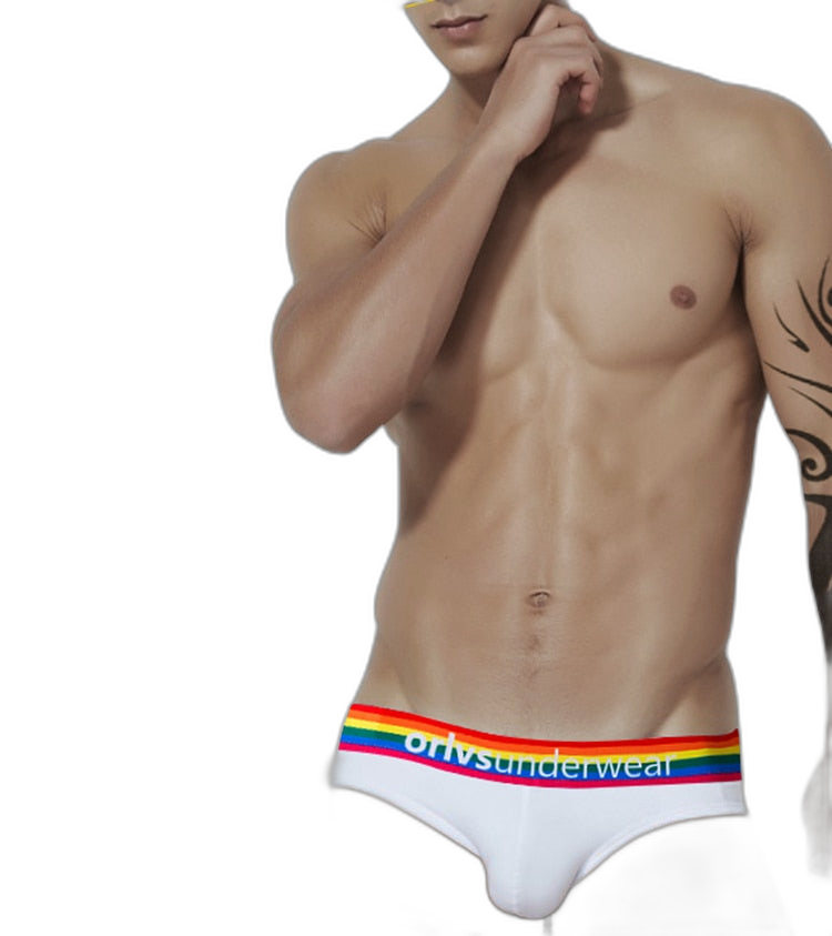 ORLVS Pride Briefs