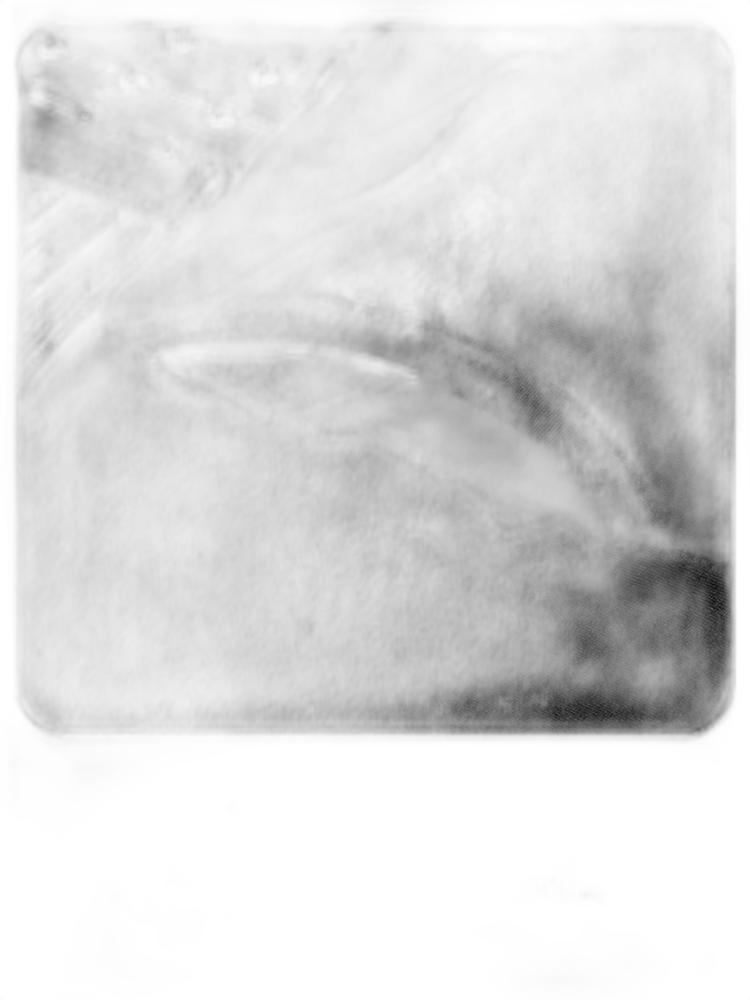 Men's Butt Lifting Tummy Control Shapewear