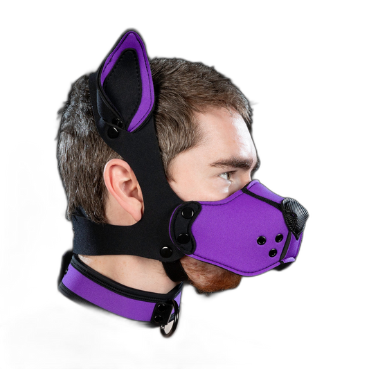 Mr S Leather Neoprene K9 Kit Purple