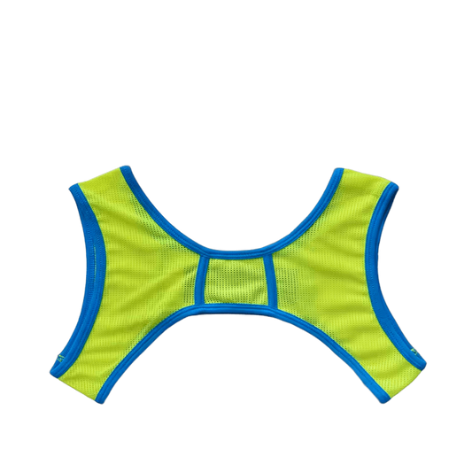 Dog & Master Mesh Harness Green/Blue