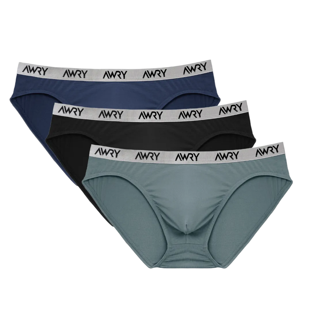 3 Pack SIGNATURE Slip Briefs