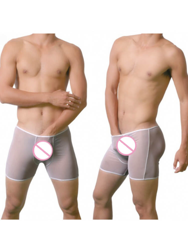 Men's Mesh See-Through Sexy Solid Boxer Briefs